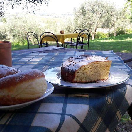I Fagiani B&B 里米尼 外观 照片