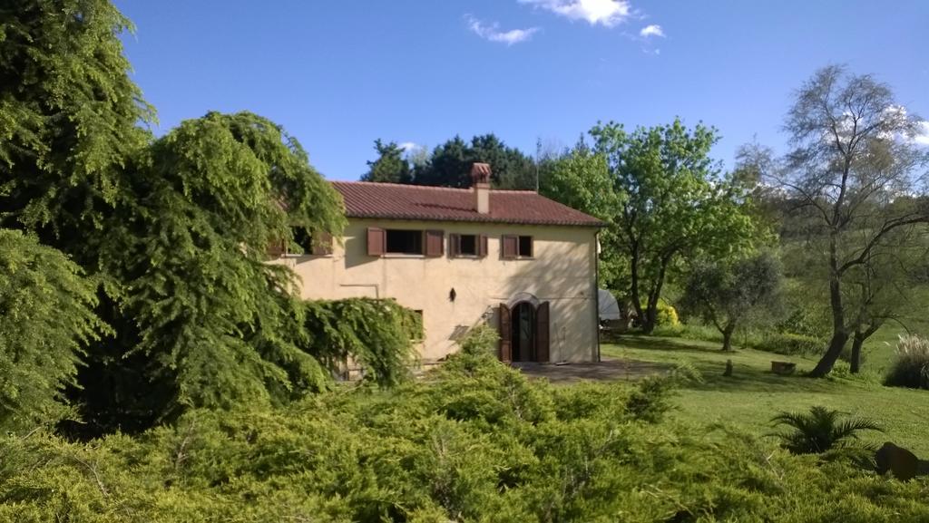 I Fagiani B&B 里米尼 外观 照片